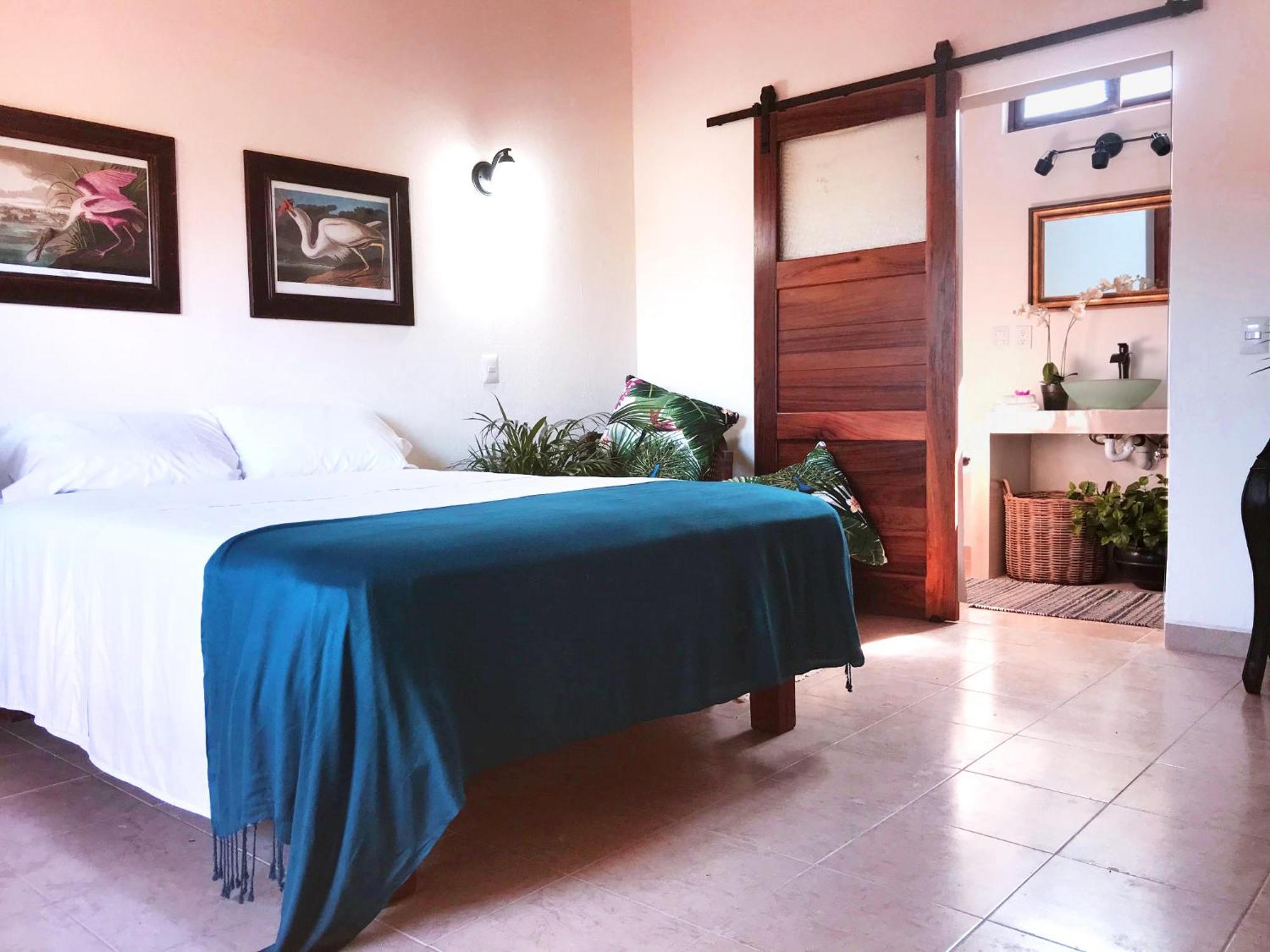 Casa Botanica Hotel Lo de Marcos Eksteriør billede