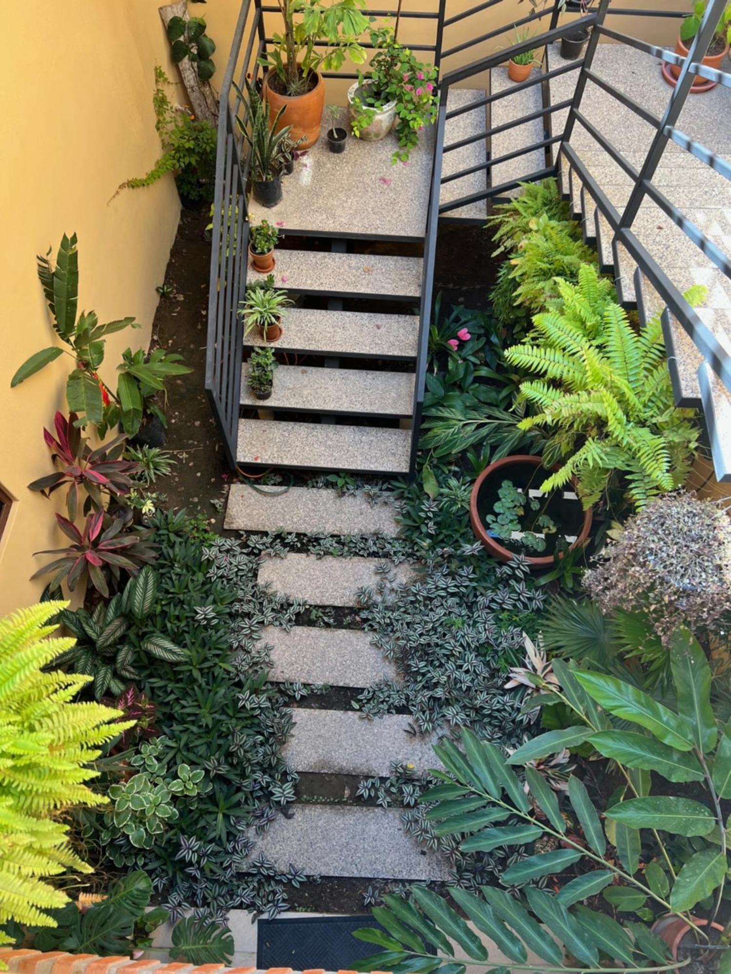 Casa Botanica Hotel Lo de Marcos Eksteriør billede