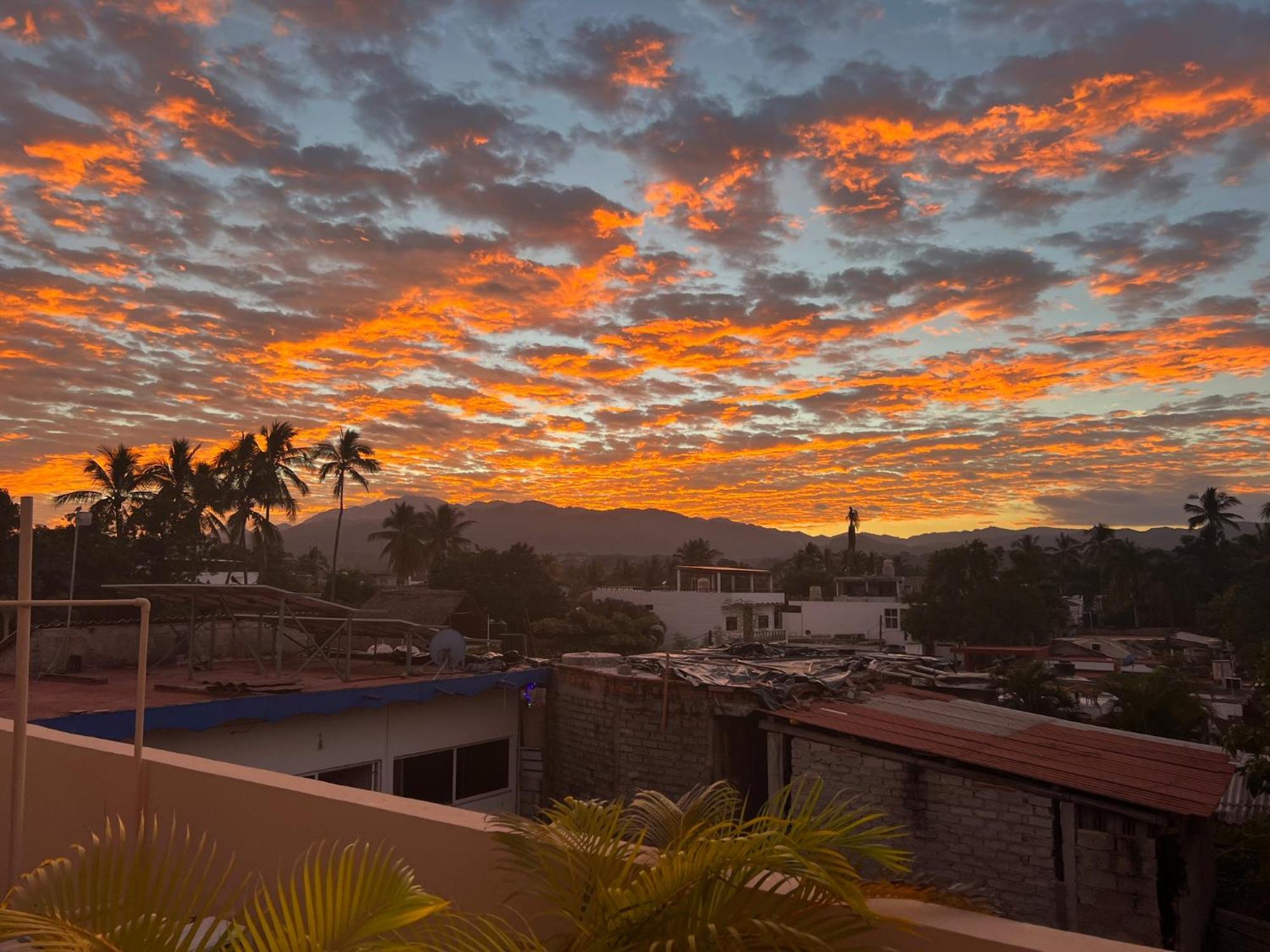 Casa Botanica Hotel Lo de Marcos Eksteriør billede
