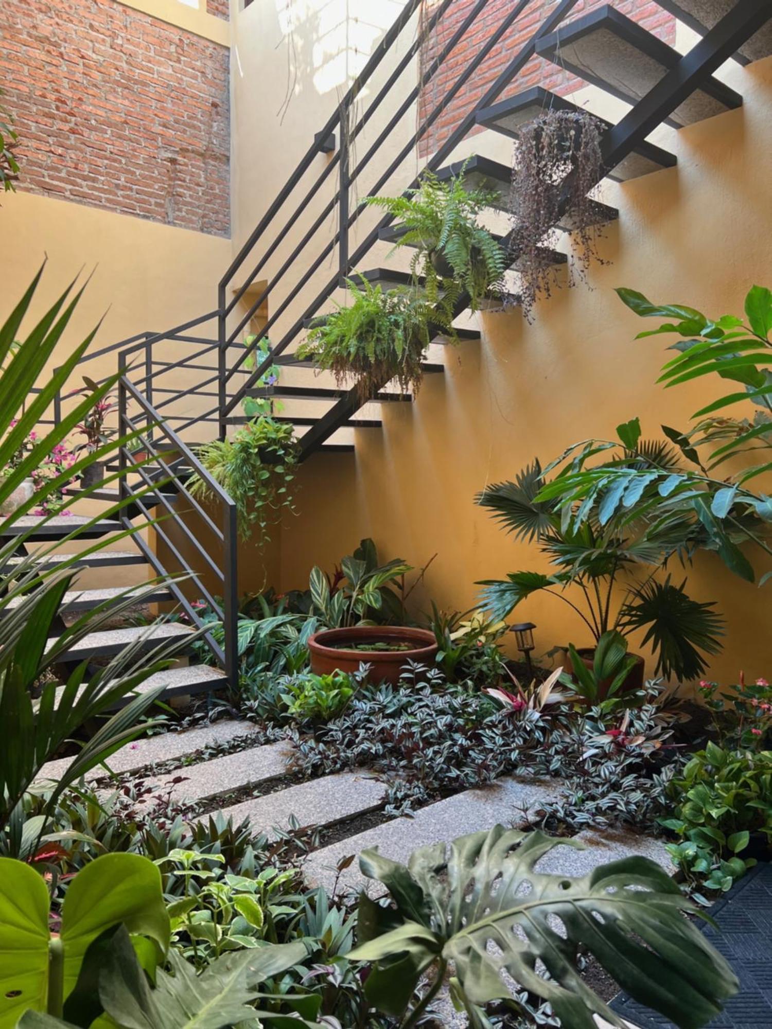 Casa Botanica Hotel Lo de Marcos Eksteriør billede