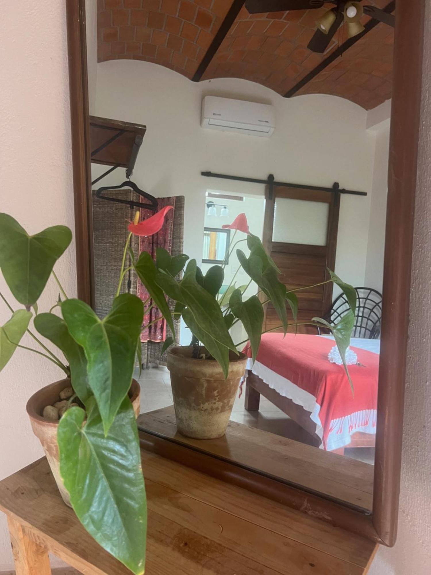 Casa Botanica Hotel Lo de Marcos Eksteriør billede