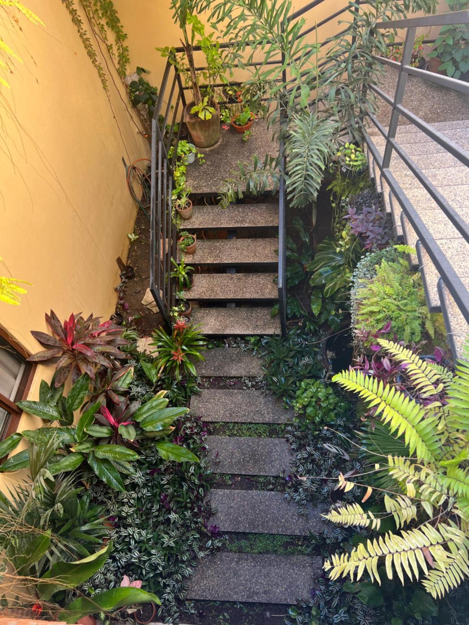 Casa Botanica Hotel Lo de Marcos Eksteriør billede
