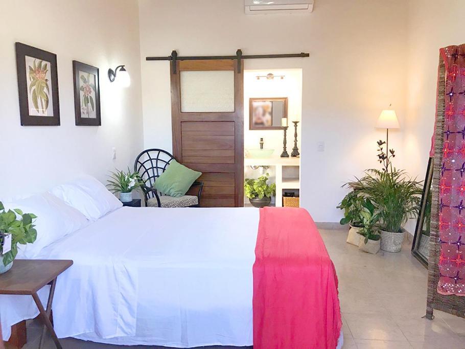 Casa Botanica Hotel Lo de Marcos Eksteriør billede