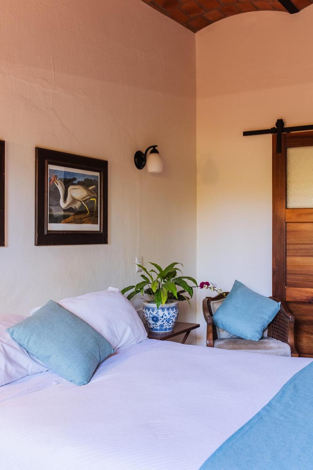 Casa Botanica Hotel Lo de Marcos Eksteriør billede