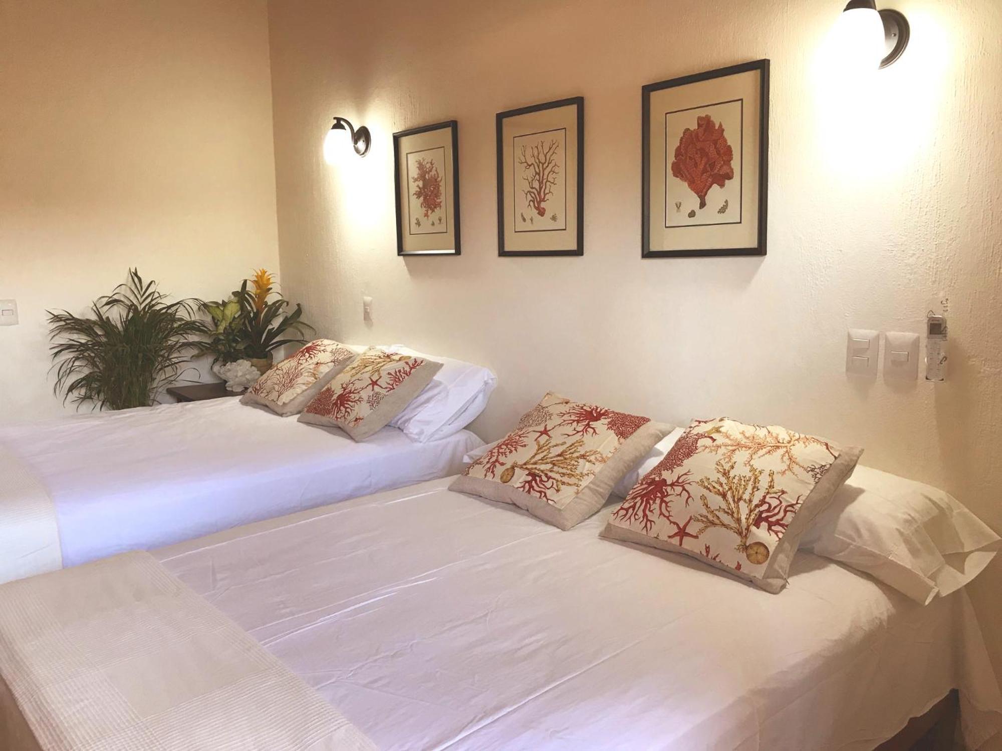 Casa Botanica Hotel Lo de Marcos Eksteriør billede